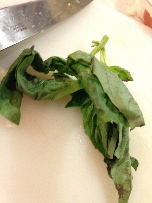 Photo Jan 28, 5 10 53 PM