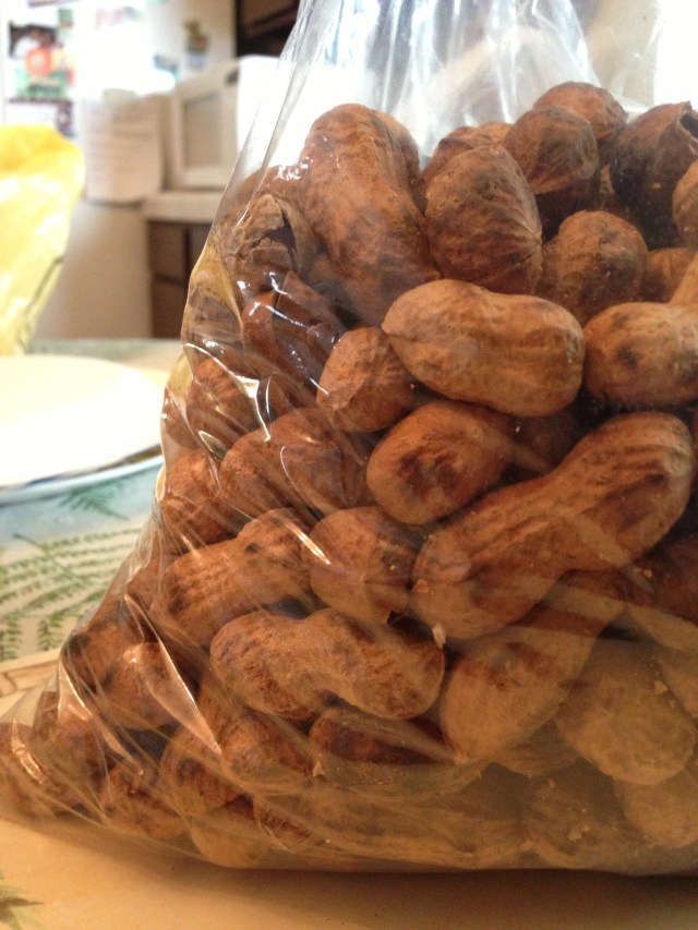 Photo Mar 03, 12 23 26 PM